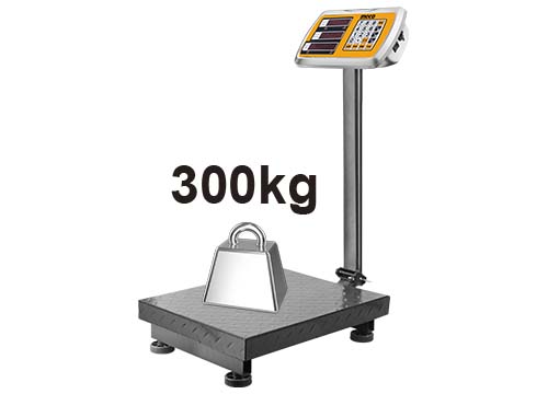 HESA03001 ELECTRONIC SCALE