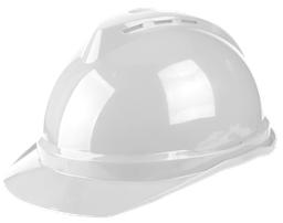 [HSH202] HSH202 SAFETY HELMET